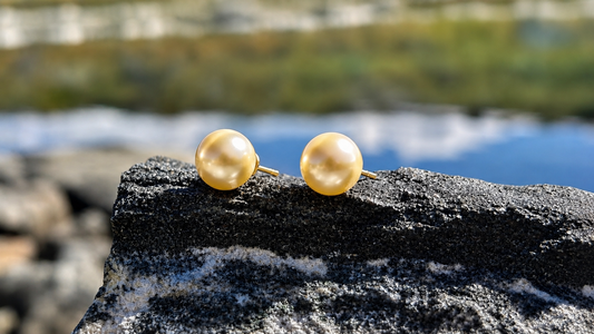 Certified Golden South Sea Pearl Stud Earrings, 18K Solid Gold, Minimalist Fine Jewellery