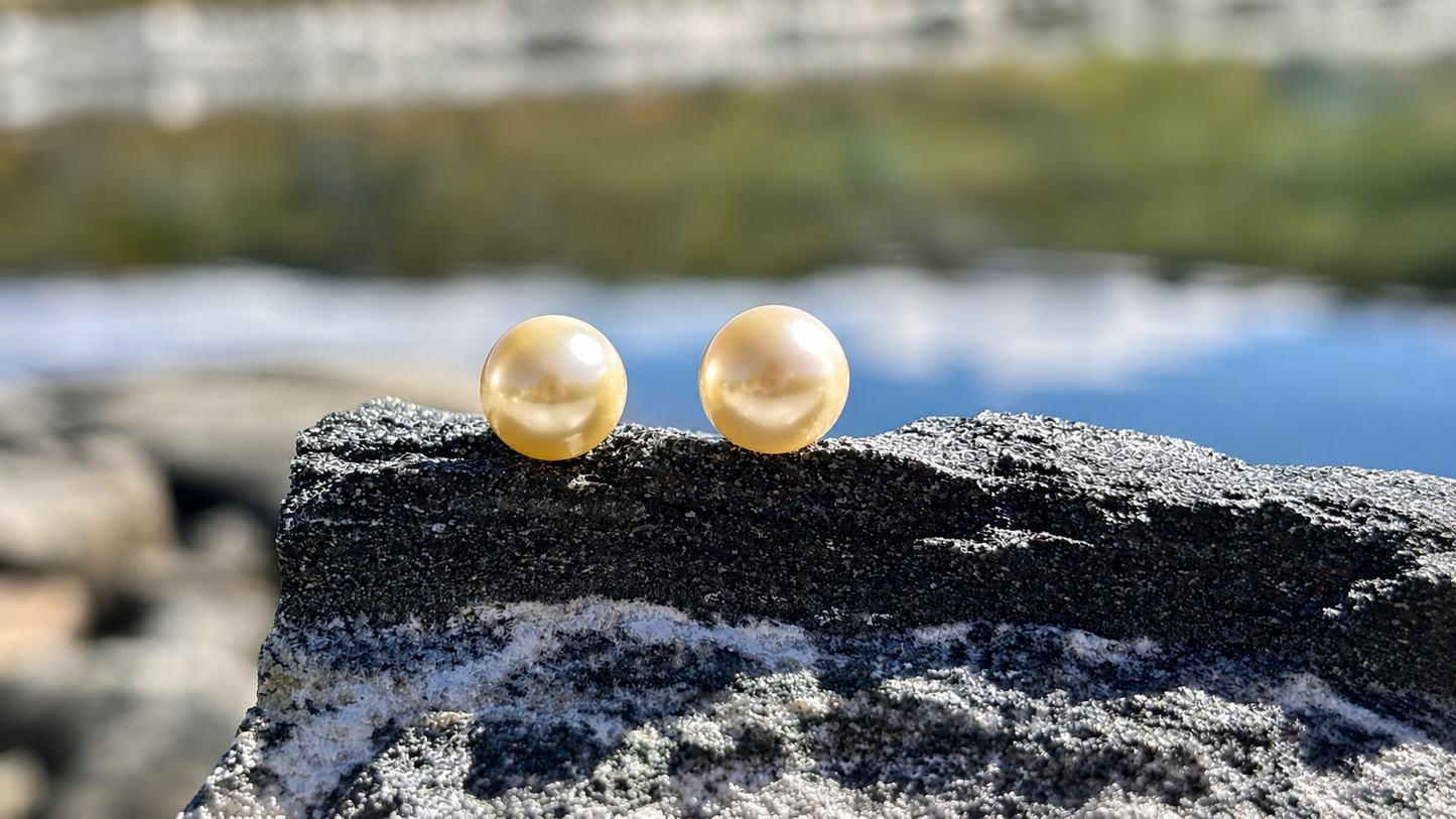 Certified Golden South Sea Pearl Stud Earrings, 18K Solid Gold, Minimalist Fine Jewellery