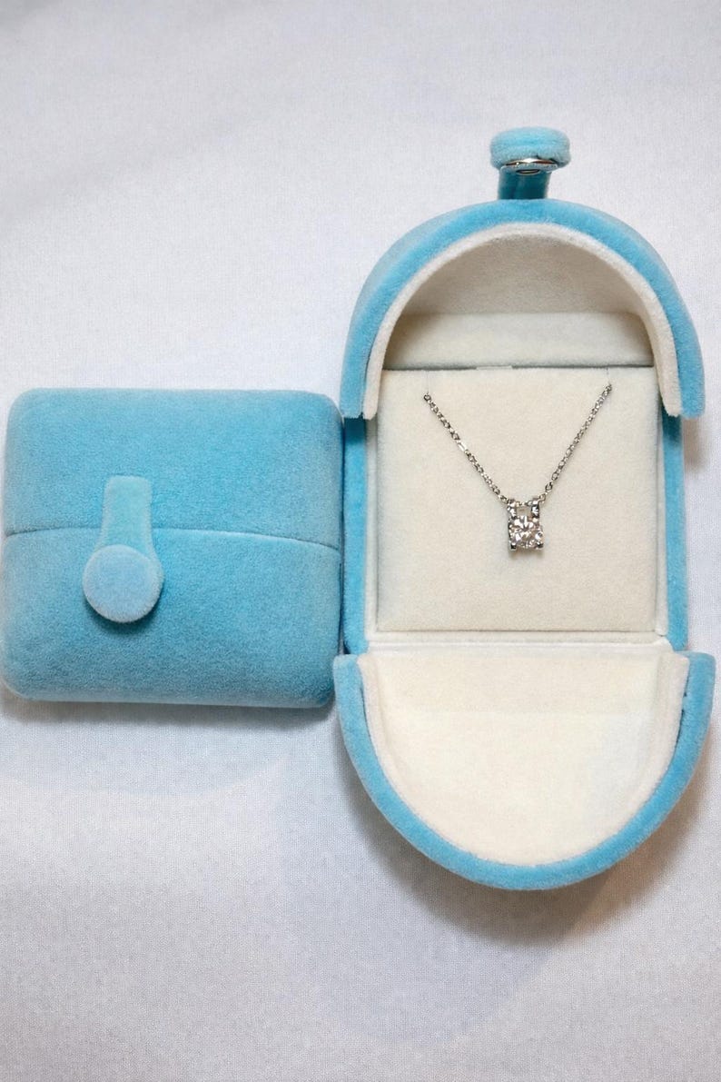 1CT Moissanite Halo Necklace | 18K White Gold-Plated 925 Sterling Silver